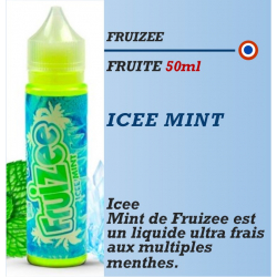 Fruizee - ICEE MINT - 10-50-60-70ml