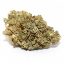 CBD - LIMO PREMIUM - VRAC