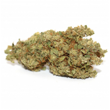 CBD - MANGO PREMIUM - VRAC