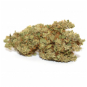 CBD - MANGO PREMIUM - VRAC