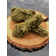 CBD - MANGO PREMIUM - VRAC